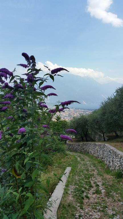 Apartment Weiss Home Riva del Garda Exterior foto
